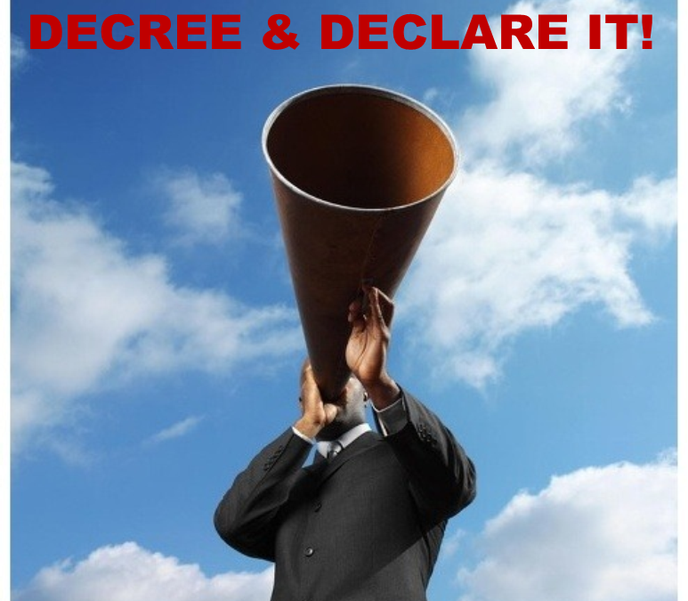 Publishing \u0026 Development \u0026 Declare! Book Decree Soul |